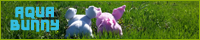 AquaBunny, a Nidoran FanSite