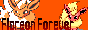 Flareon Forever, a site by two sibling collectors!