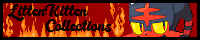 Litten Kitten Collections, collecting the Litten line