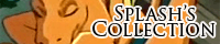 Splash's collection of various pokemon