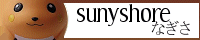 Sunyshore, collecting electric types
